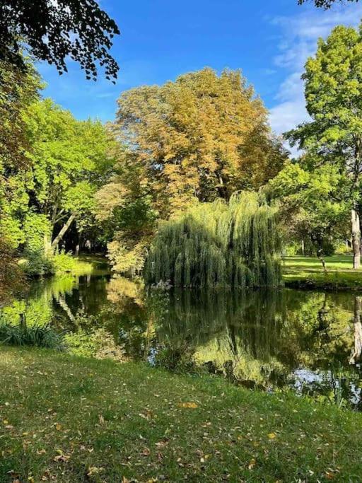 Ein Gemuetlicher Platz Im Gruenderzeitviertel شيمنيتز المظهر الخارجي الصورة